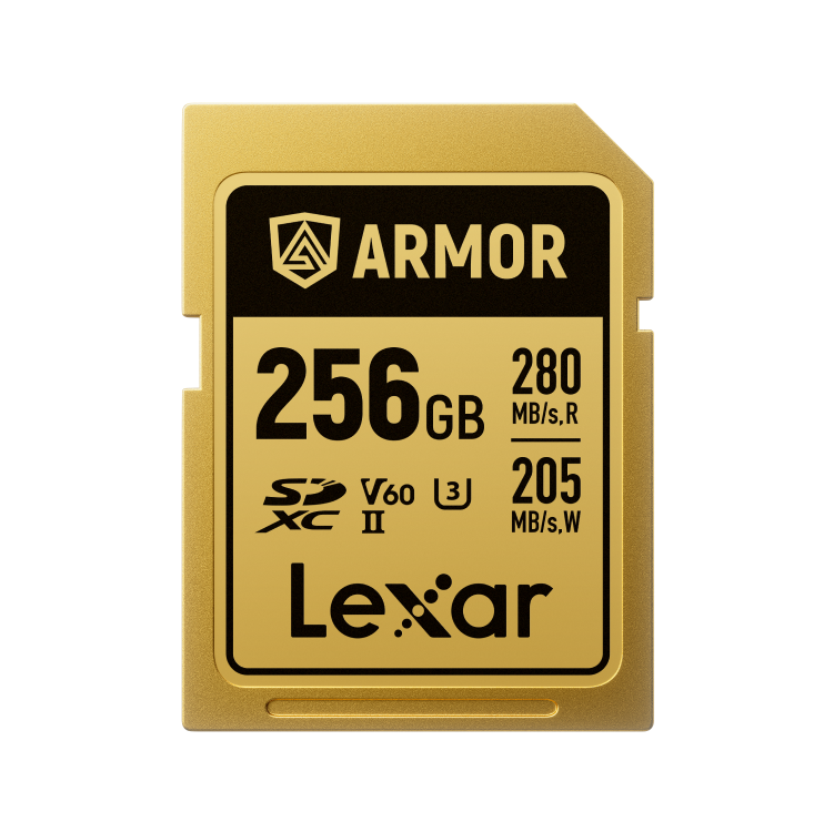 Карта памяти Lexar 256GB Armor Gold SDXC UHS-II V60 - вид спереди
